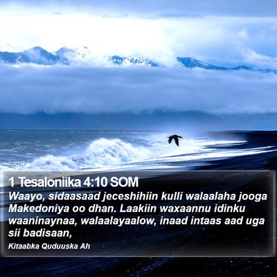 1 Tesaloniika 4:10 SOM Bible Verse Image