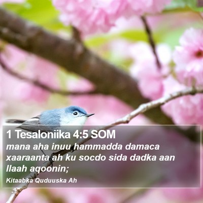 1 Tesaloniika 4:5 SOM Bible Verse Image
