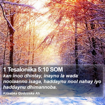 1 Tesaloniika 5:10 SOM Bible Verse Image