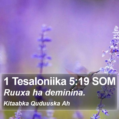 1 Tesaloniika 5:19 SOM Bible Verse Image