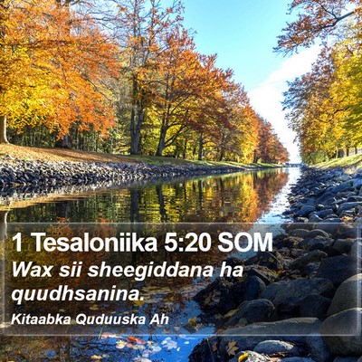 1 Tesaloniika 5:20 SOM Bible Verse Image