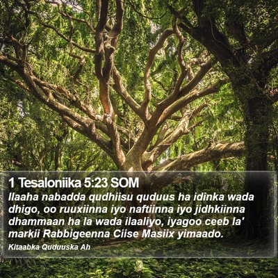 1 Tesaloniika 5:23 SOM Bible Verse Image