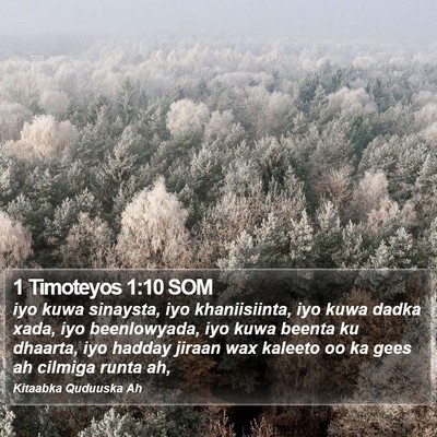 1 Timoteyos 1:10 SOM Bible Verse Image