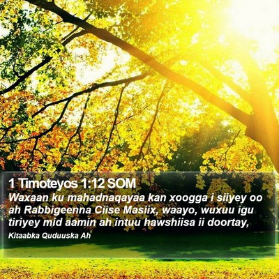 1 Timoteyos 1:12 SOM Bible Verse Image