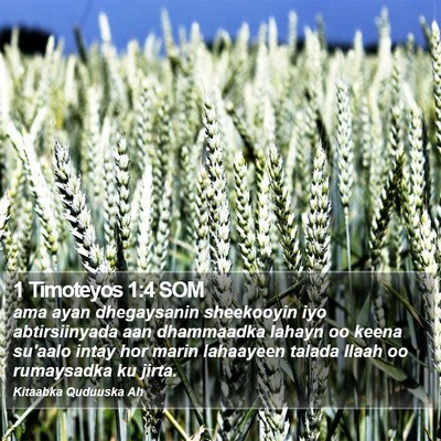 1 Timoteyos 1:4 SOM Bible Verse Image