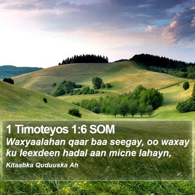 1 Timoteyos 1:6 SOM Bible Verse Image