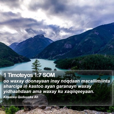 1 Timoteyos 1:7 SOM Bible Verse Image