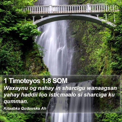 1 Timoteyos 1:8 SOM Bible Verse Image