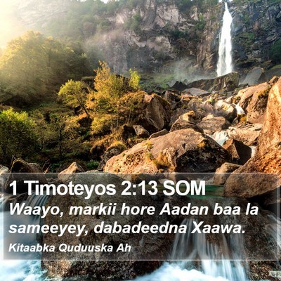 1 Timoteyos 2:13 SOM Bible Verse Image