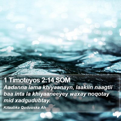 1 Timoteyos 2:14 SOM Bible Verse Image