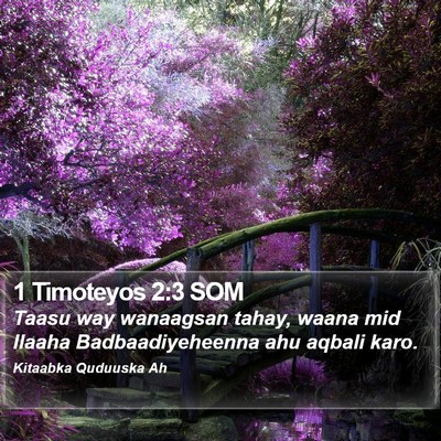 1 Timoteyos 2:3 SOM Bible Verse Image