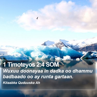 1 Timoteyos 2:4 SOM Bible Verse Image
