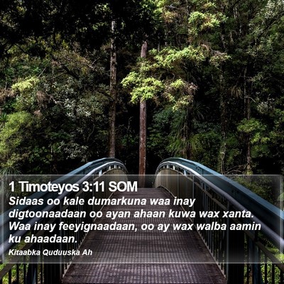 1 Timoteyos 3:11 SOM Bible Verse Image