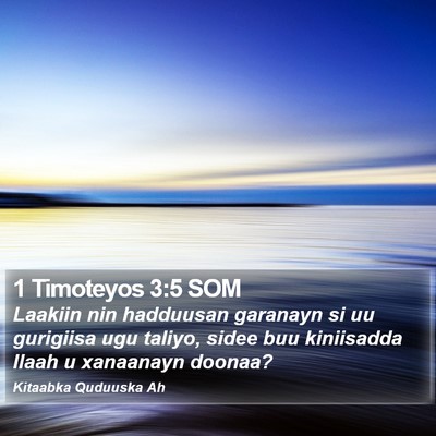 1 Timoteyos 3:5 SOM Bible Verse Image
