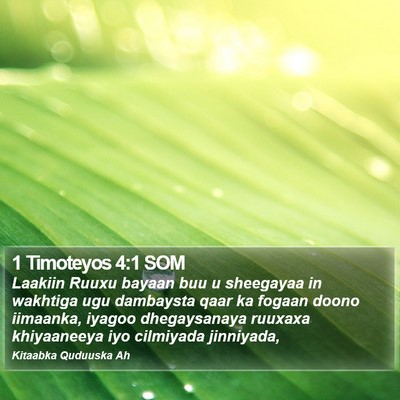 1 Timoteyos 4:1 SOM Bible Verse Image