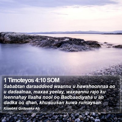 1 Timoteyos 4:10 SOM Bible Verse Image