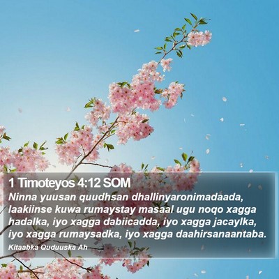 1 Timoteyos 4:12 SOM Bible Verse Image