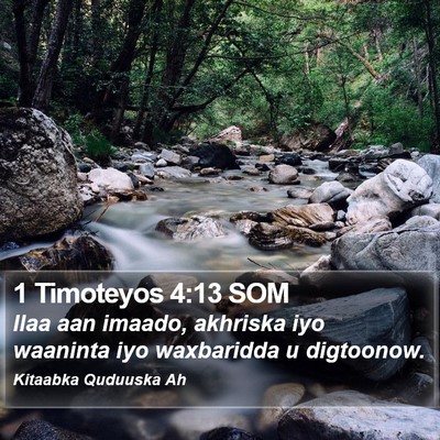 1 Timoteyos 4:13 SOM Bible Verse Image