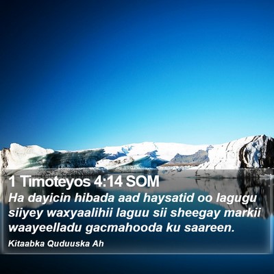 1 Timoteyos 4:14 SOM Bible Verse Image