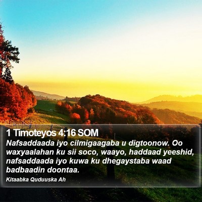 1 Timoteyos 4:16 SOM Bible Verse Image