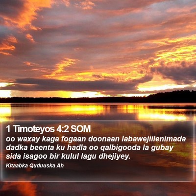 1 Timoteyos 4:2 SOM Bible Verse Image