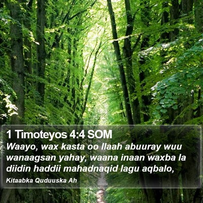 1 Timoteyos 4:4 SOM Bible Verse Image