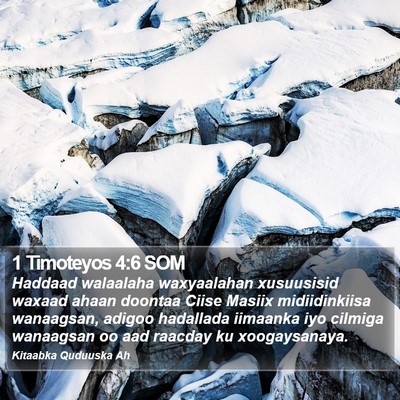 1 Timoteyos 4:6 SOM Bible Verse Image