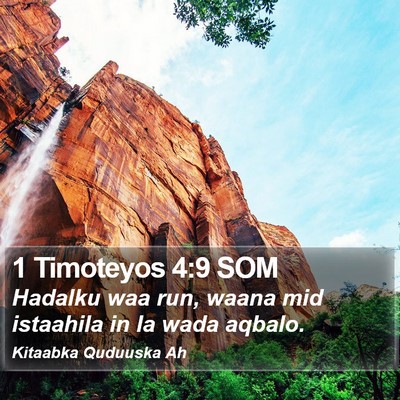 1 Timoteyos 4:9 SOM Bible Verse Image