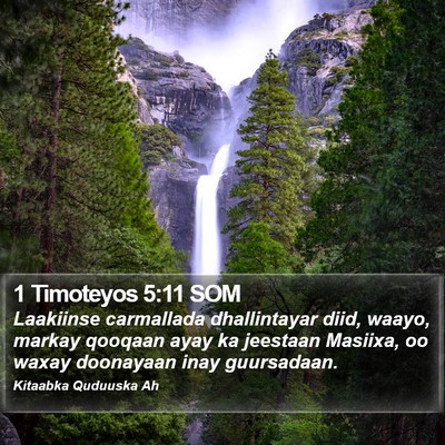 1 Timoteyos 5:11 SOM Bible Verse Image