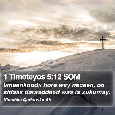1 Timoteyos 5:12 SOM Bible Verse Image
