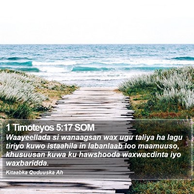 1 Timoteyos 5:17 SOM Bible Verse Image