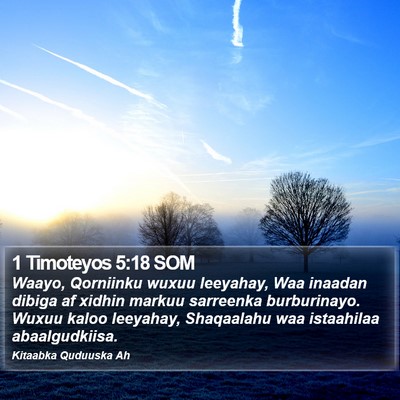 1 Timoteyos 5:18 SOM Bible Verse Image