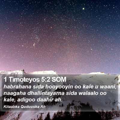 1 Timoteyos 5:2 SOM Bible Verse Image