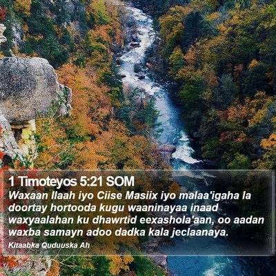1 Timoteyos 5:21 SOM Bible Verse Image