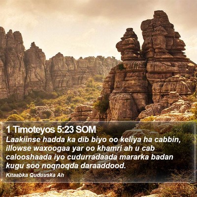 1 Timoteyos 5:23 SOM Bible Verse Image