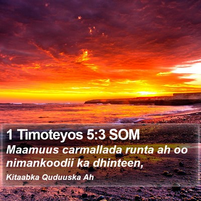 1 Timoteyos 5:3 SOM Bible Verse Image