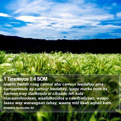 1 Timoteyos 5:4 SOM Bible Verse Image