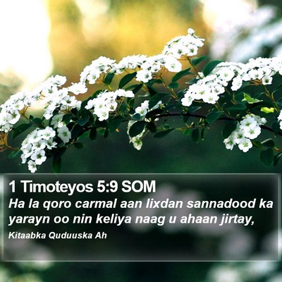 1 Timoteyos 5:9 SOM Bible Verse Image