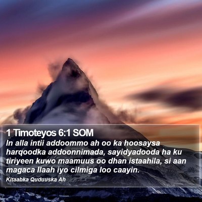 1 Timoteyos 6:1 SOM Bible Verse Image