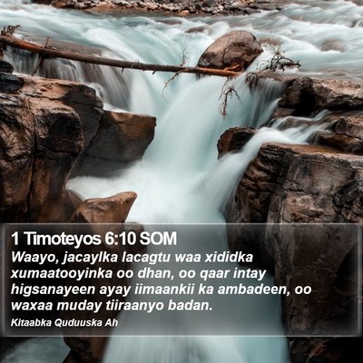 1 Timoteyos 6:10 SOM Bible Verse Image