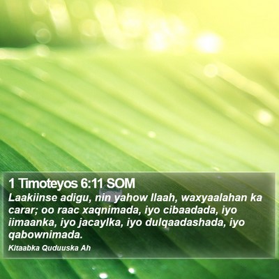 1 Timoteyos 6:11 SOM Bible Verse Image