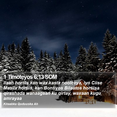 1 Timoteyos 6:13 SOM Bible Verse Image