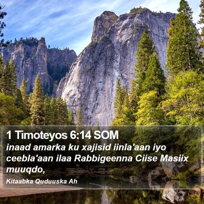 1 Timoteyos 6:14 SOM Bible Verse Image
