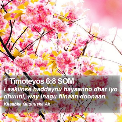1 Timoteyos 6:8 SOM Bible Verse Image