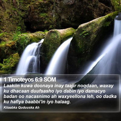 1 Timoteyos 6:9 SOM Bible Verse Image