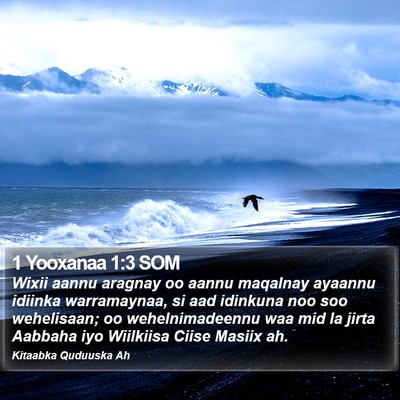 1 Yooxanaa 1:3 SOM Bible Verse Image