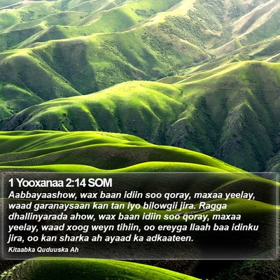 1 Yooxanaa 2:14 SOM Bible Verse Image