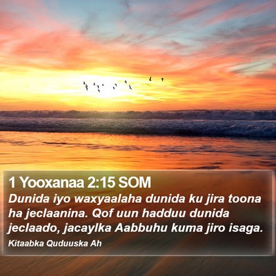 1 Yooxanaa 2:15 SOM Bible Verse Image