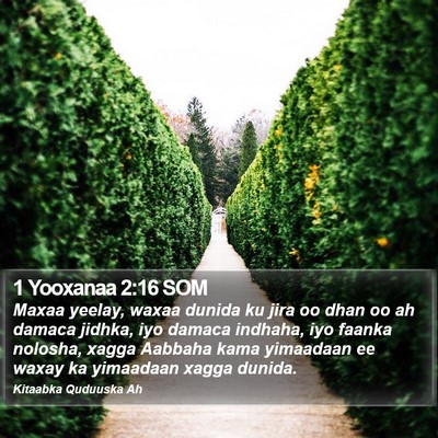 1 Yooxanaa 2:16 SOM Bible Verse Image