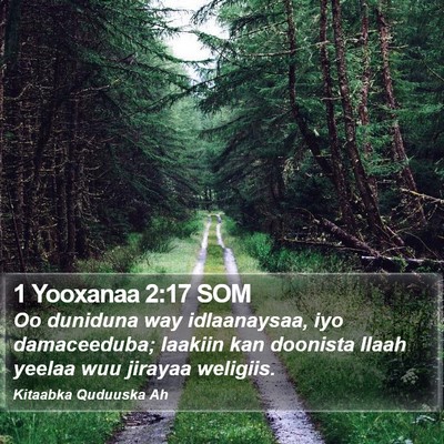 1 Yooxanaa 2:17 SOM Bible Verse Image